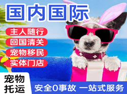 运城机场物流国际宠物托运 【国